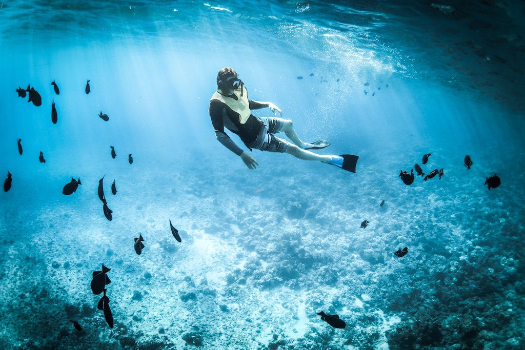 Snorkelling and scuba diving